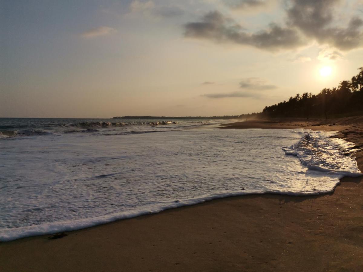 Helios Beach Resort Tangalle Εξωτερικό φωτογραφία